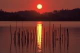 神西湖夕焼け