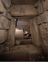 �����P����