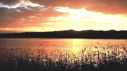 神西湖の日の出