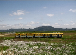 緑の田園地帯を走る一畑電車