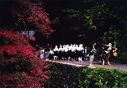 「弁慶まつりと鰐淵寺の紅葉」