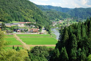 窪田小学校附近（伊秩山から）