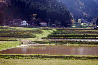 田園風景
