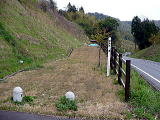埋没林公園