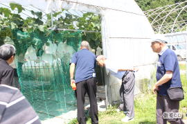 ビニールハウス