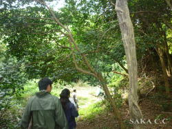 出雲ブランド認定委員会