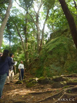 出雲ブランド視察
