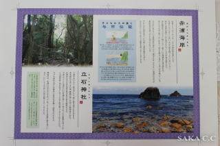 リーフレット中