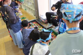 スーパーボールすくい