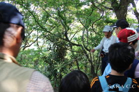 �K�C�h����̐���