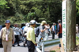 ���Ă��킳�����