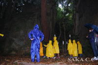 �l�C�`���[�̎ʐ^