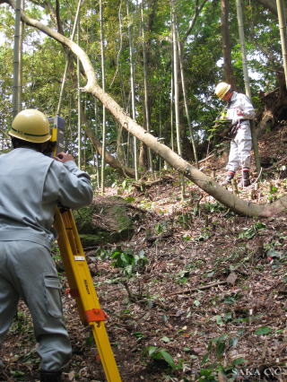 ���ʒ����Q