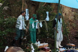 ��Տ����S