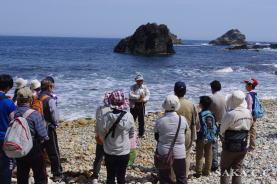 �ԉY�C�݂̐���