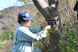 ���ؔ�t���Ă܂�