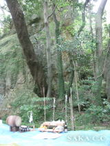 ���΂���Ւd