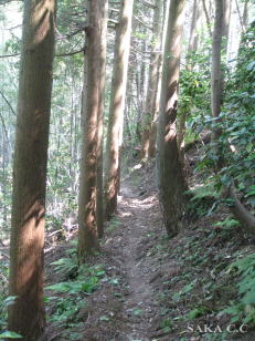 ���Ă��킳��ւ̊ԓ�