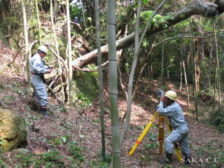 ���ʒ����P