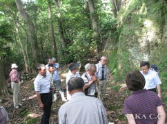 �u����ʐ^�Q