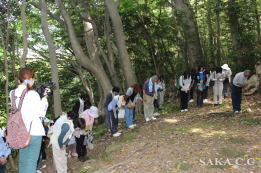 �킪�܂��T�K�Q