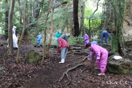 ��Տ����P