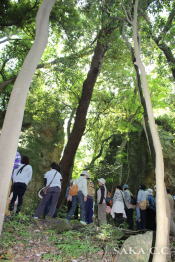 ���Ă��킳��̌��グ��