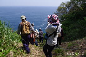 �C�������Ă����I