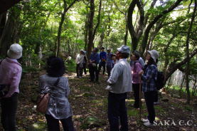 ���܂���̐���