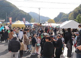 ごっとこいまつり写真