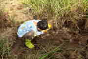 qǂ