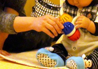 �q��ăT�����̉摜�P