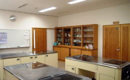 ���K���̉摜