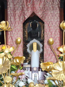 ������@�{��