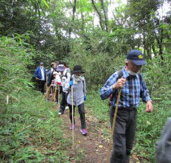山頂を目指しての登山