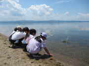 �Ȃ�������