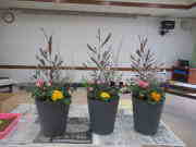 �ł�������