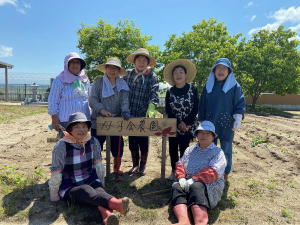 母子会　芋苗植え