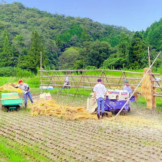 ほのぼの上津 延畑