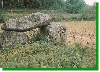 ���Β��҂̊��̐�����