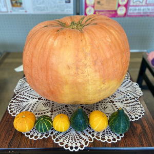 ジャンボカボチャ