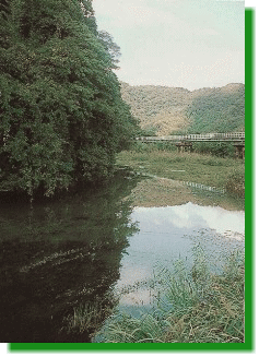 ����肪�r�i���킾�񂳂�j