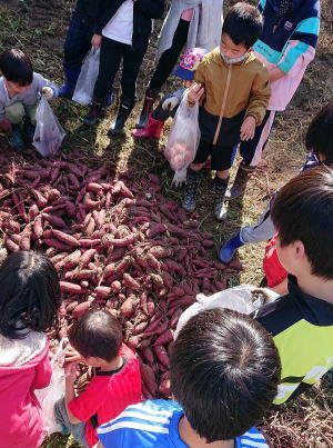 ほのぼの上津　船津