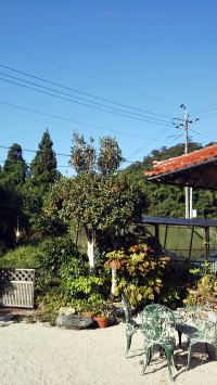 ほのぼの上津　きんもくせい