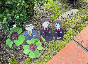 四つ葉のクローバー