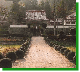 善福寺とサルスベリ