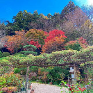 ほのぼの上津　中央