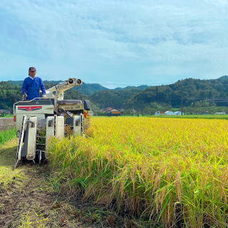 ほのぼの上津　稲刈り風景