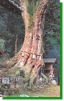 安楽寺と荒神さん