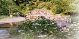 公園日本庭園